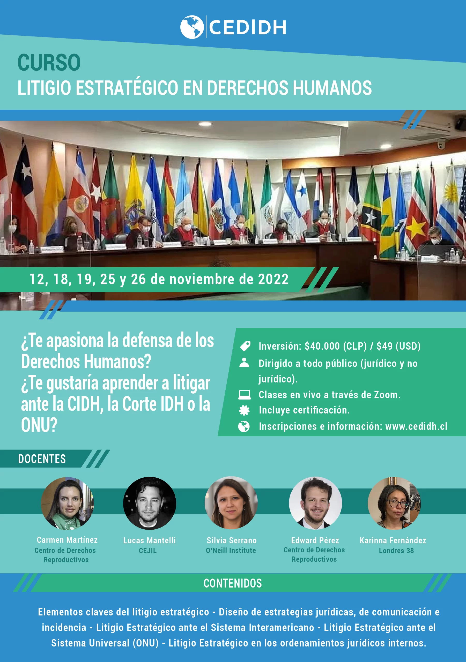 Curso Litigio Estratégico en Derechos Humanos